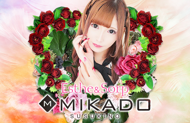 VIP SOAP MIKADO